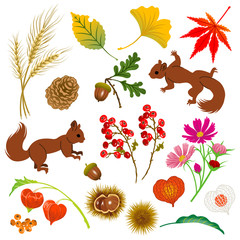 Autumn Material,Isolated