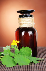 Blooming Celandine with medicine bottles