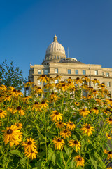 Bright yellow flowers at the base of the state Capital
