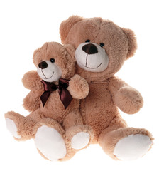 zwei Teddy Freunde
