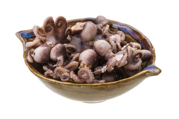 Boiled Octopus