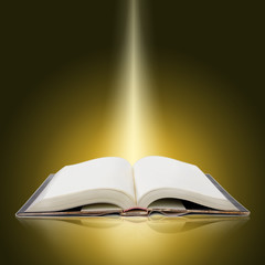 book template