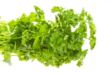 Ripe fresh Parsley