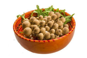 Japan mushroom Shimeji