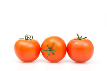 Tomato