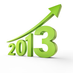 Growth of year 2013