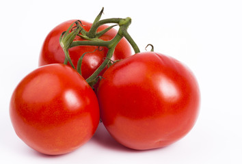 Tomaten