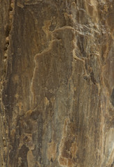 Obraz premium stone background