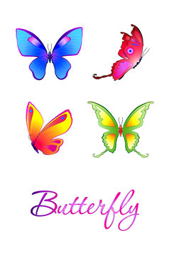 Collection of illustrated butterfly. colloring