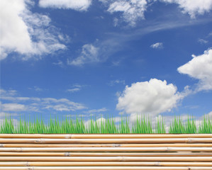Fototapeta na wymiar Bamboo fence and sky photo with illustrated grass
