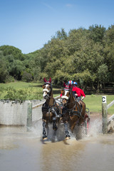 Horse Driving (doubles) - 55244098