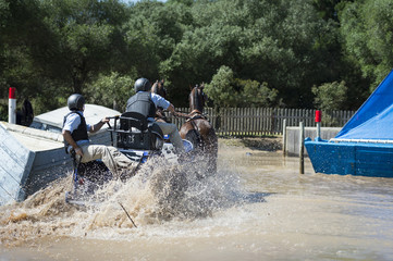 Horse Driving (doubles)
