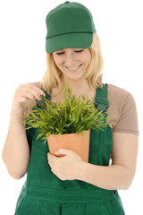 Gärtnerin bei Pflanzenpflege