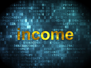 Fototapeta premium Business concept: Income on digital background
