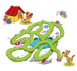 gioco labirinto, cani