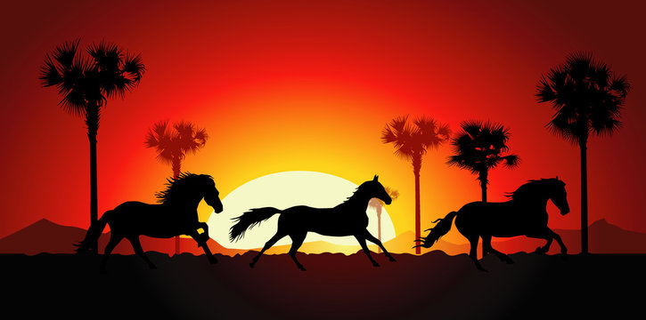 Sunset & Three running horses