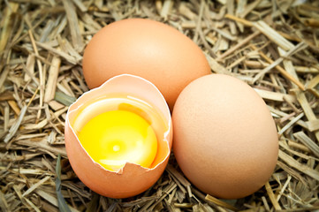 Broken Egg On Straw