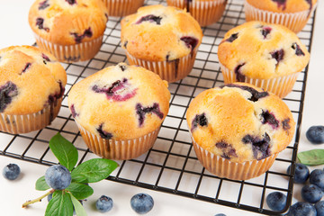 Blueberry muffins