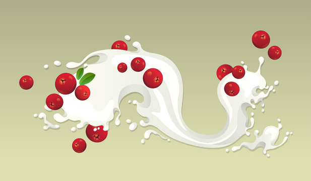 Milk splash with cranberries on light background.