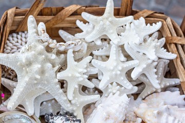 Closeup of braided straw basket full of starfish