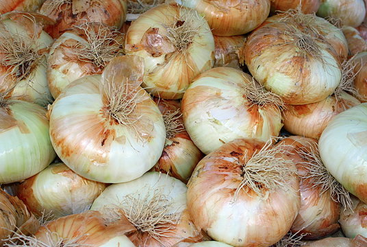 cipolla di Giarratana