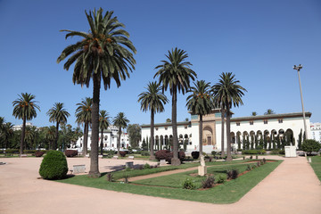 Square with palm trees in Casablanca, Morocco, North Africa - obrazy, fototapety, plakaty