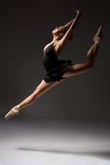 Female ballet dancer - 55254024