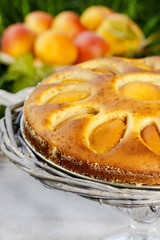 Round apricot cake on cake stand. Garden party, selective focus