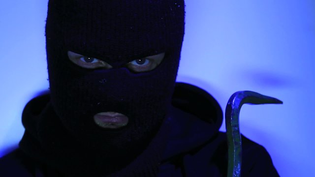 Burglar - Thief