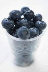Plastic cup with freshly picked bilberries, close-up