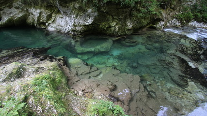 Naklejka premium gorges de Vintgar, Slovénie