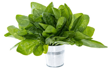Portion of Spinach on white