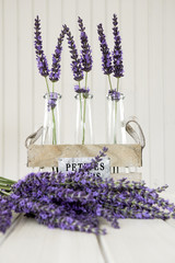 Fototapeta premium Three small vases with lavender on a white table
