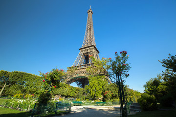 Fototapeta na wymiar jardin de la Tour Eiffel
