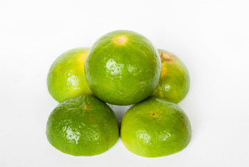 lime on a white background