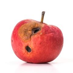 Rotten red apple with holes on white background