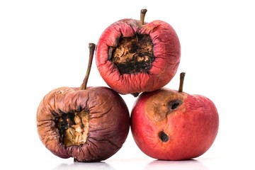 Three old and rotten apples on white background