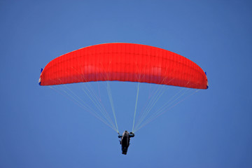 paraglider