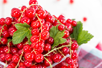 Heap of Red Currants