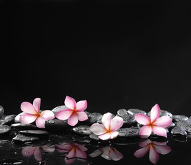 Stone spa and healthcare concept-frangipani and black pebbles