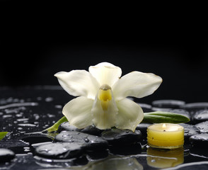 White orchid and palm leaf with candle on therapy stones