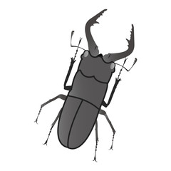 クワガタ