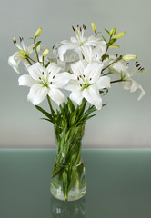 Vase of white lilies