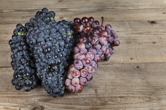 bunch of red wine grape
