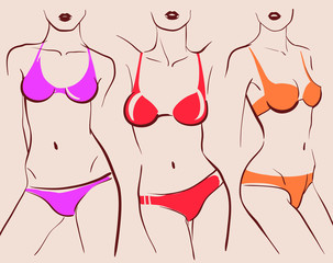 beautiful woman bodies in bikini