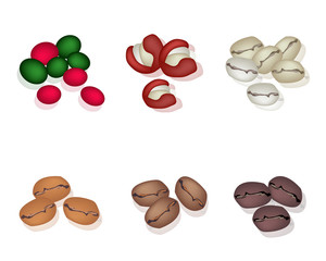 Various Kind of Coffee Beans on White Background