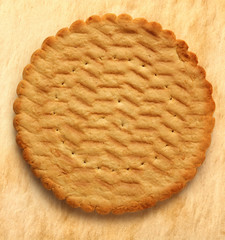 Round biscuit on stained background