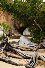 Rocks at Virgin Gorda