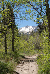 Obraz premium Sentier de promenade, Rocky Mountain National Park, CO, USA