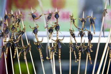 Deurstickers Beijing - Scorpions © lapas77